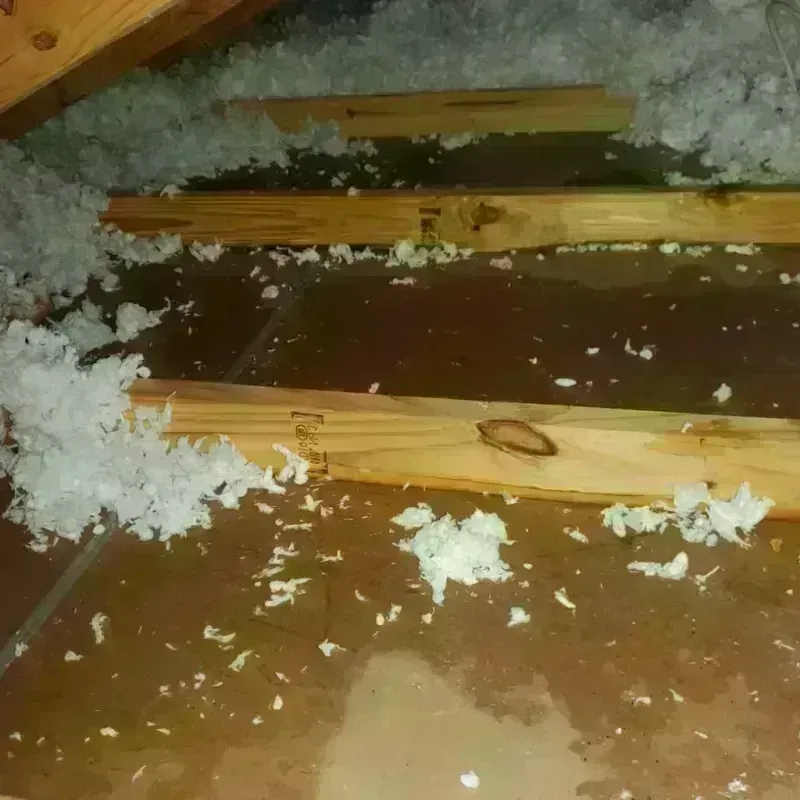 Attic Water Damage in Lake Shore, MN