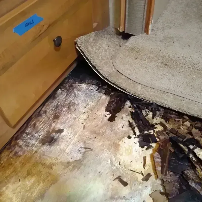 Wood Floor Water Damage in Lake Shore, MN